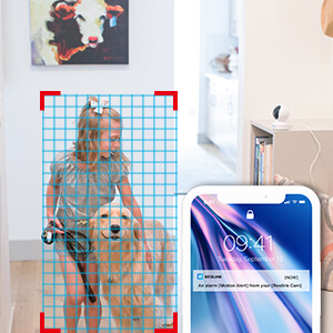 Reolink Camera